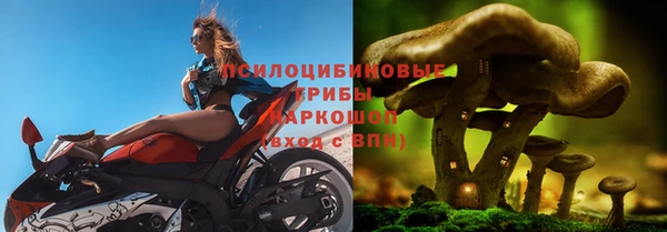 дживик Нефтегорск