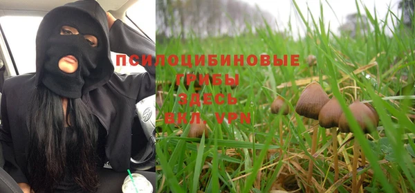 гашик Алзамай